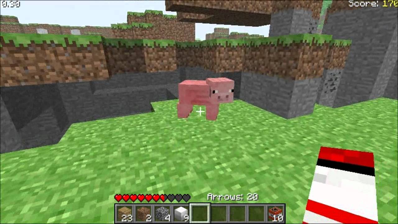 minecraft survival test to play